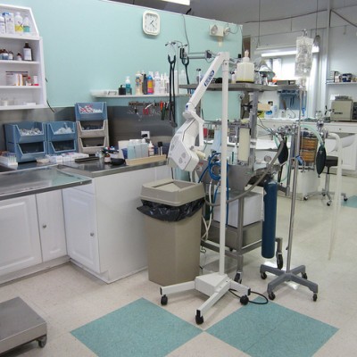 Treatment Area